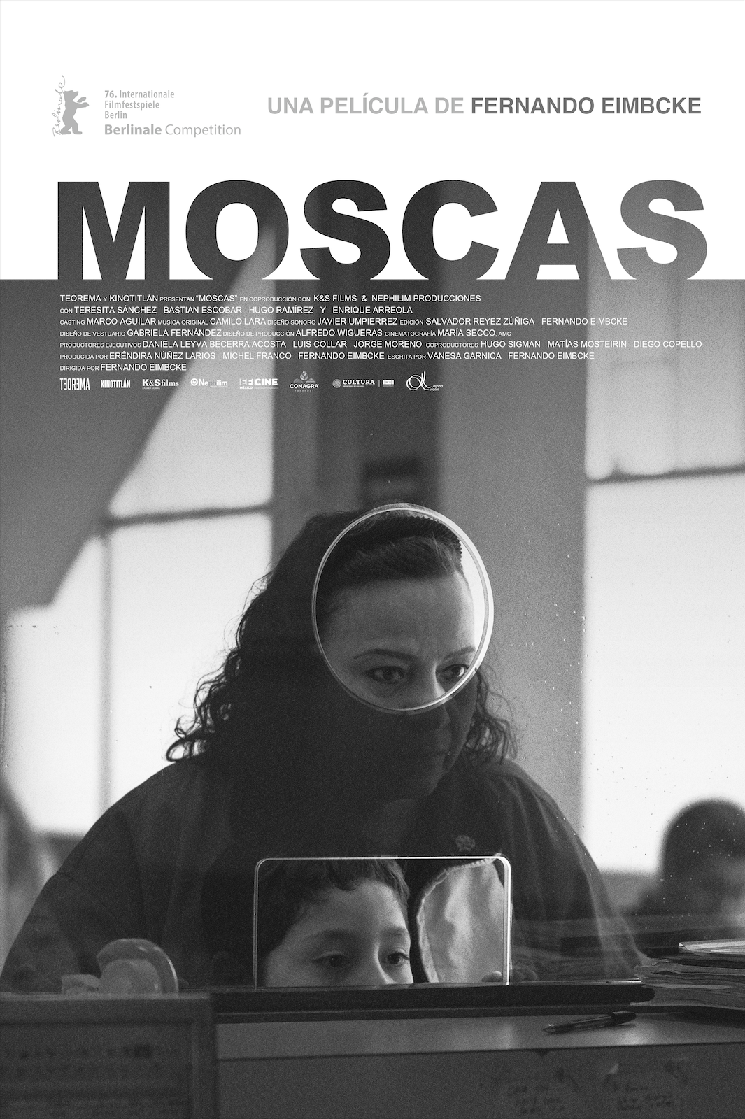 Moscas