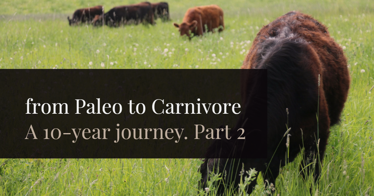 paleo to carnivore.png