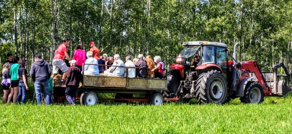 Hayride tours to see the cattle, chickens and beaver dams