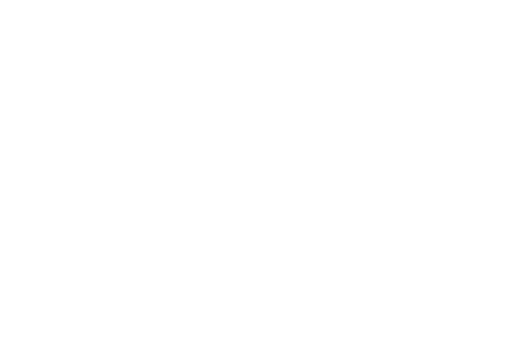 NEW FACES NEW VOICES White.png