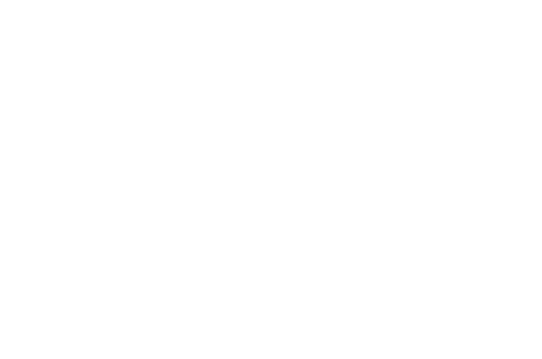 NYC TV FESTIVAL White.png