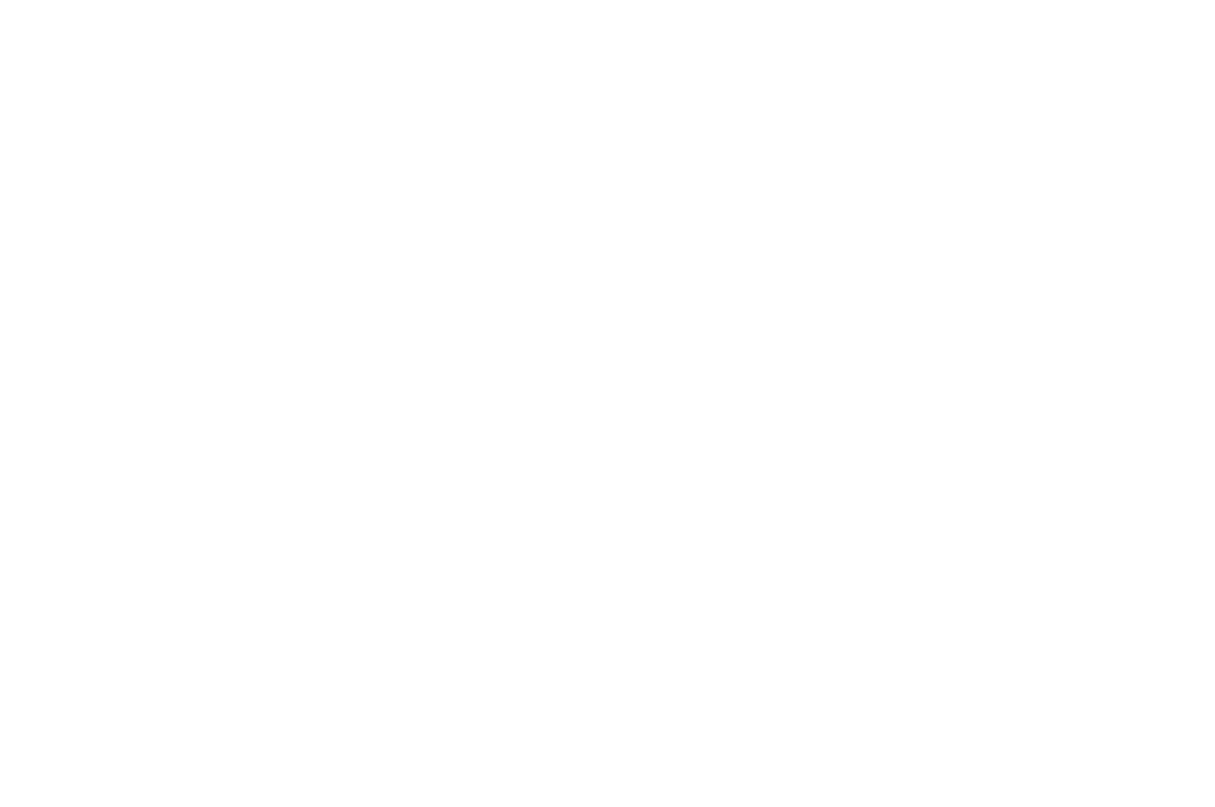 SERIESFEST White.png