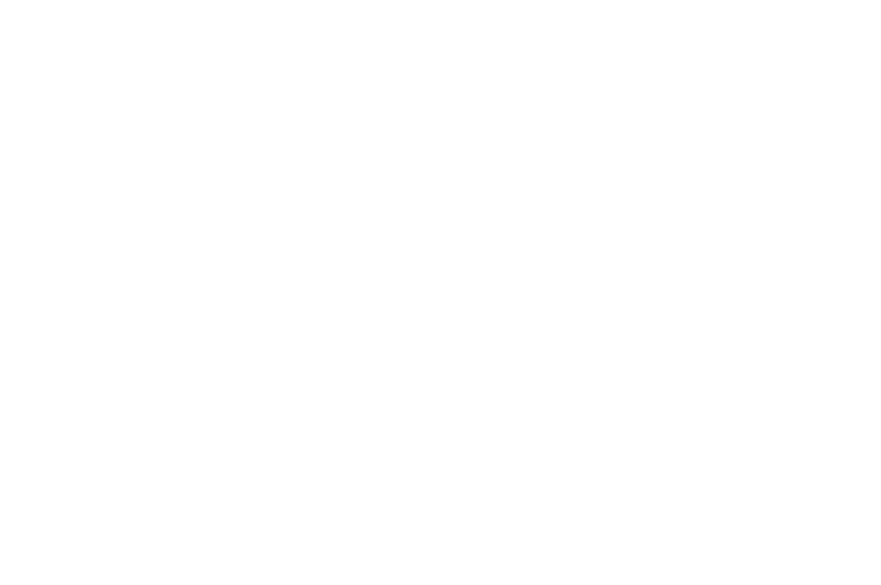 NYCA White.png