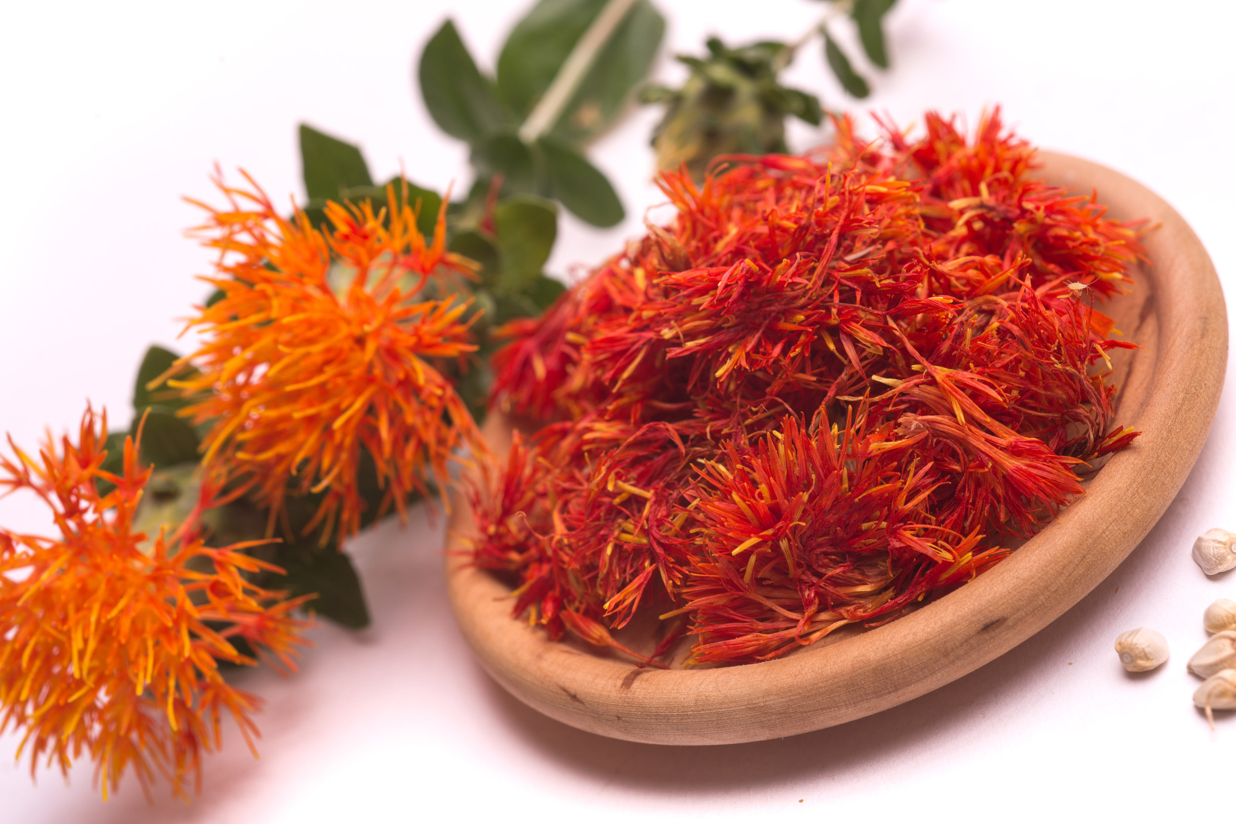 Safflower Seed Oil