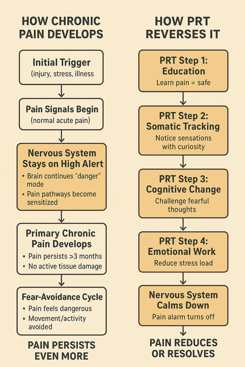 Pain Reprocessing Therapy (PRT) retrains the brain to build safety ...