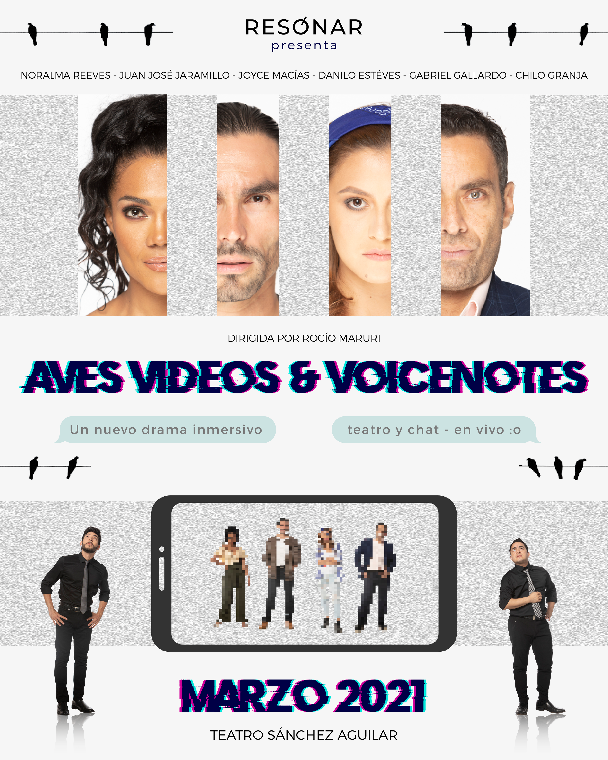 AVES VIDEOS &amp; VOICENOTES (teatro transmedia)