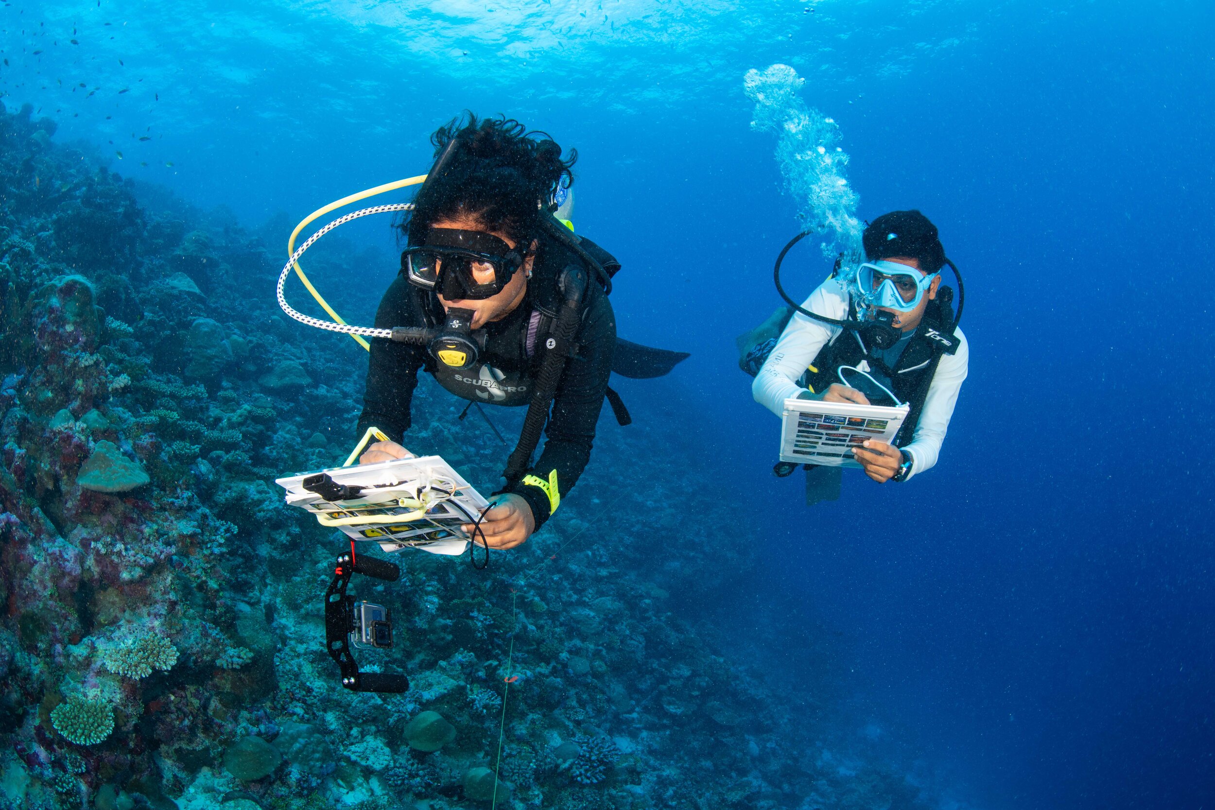 THE MALDIVES RESILIENT REEFS PROJECT