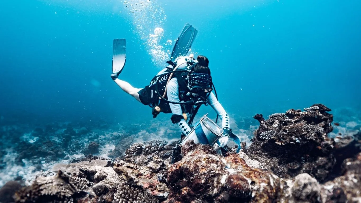 Travel and Leisure Asia - What Does a Marine Biologist in the Maldives Do All Day? It’s Even Better Than You Think