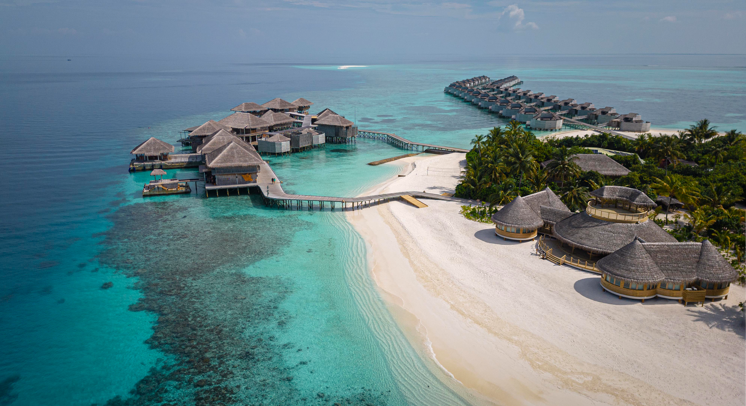 THE GRAND OPENING OF THE SHELL