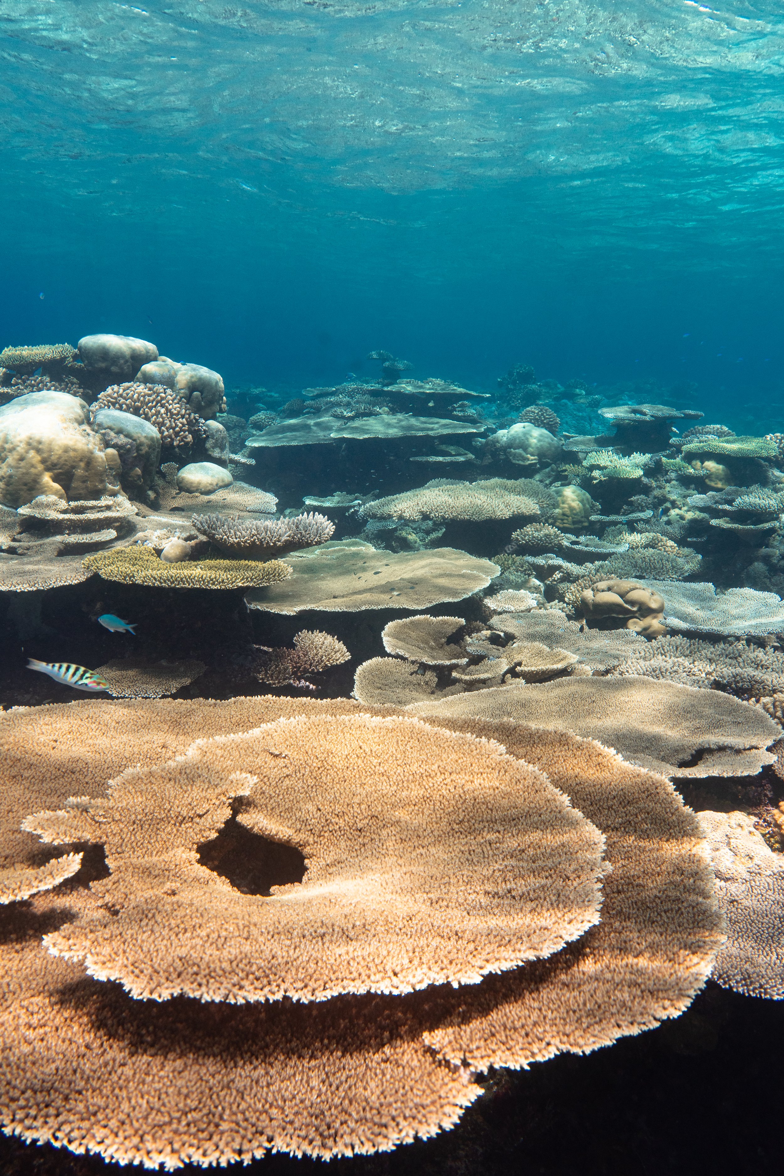 EOCEANS RESULTS ROLLING IN!