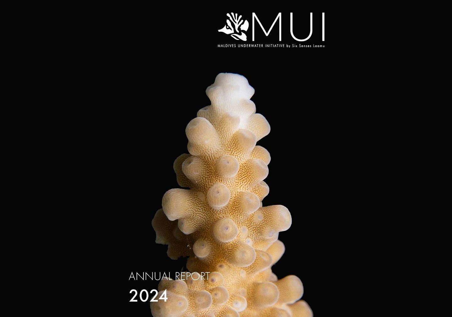 🦈🐟🌱MUI ANNUAL REPORT 2024 is out! 🐠🐬🪸
 
🖨️🔥 Fresh off the press🔥🖨️ (link in BIO) 

🌊🌏This report is a reflection on a year of progress, resilience and meaningful collaboration in marine conservation. 🌏🌊

Despite global challenges facing
