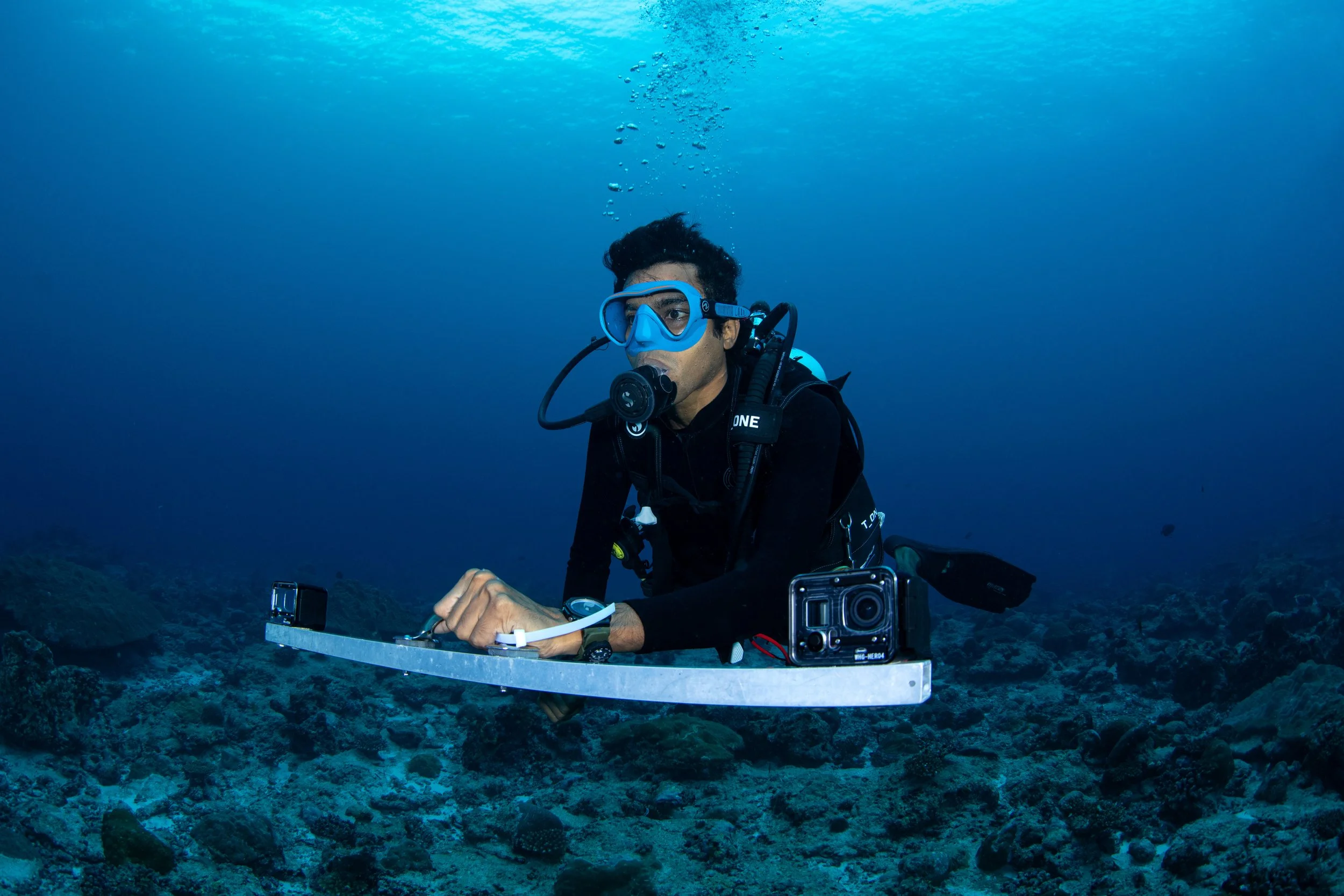 A DAY IN THE LIFE OF A MARINE BIOLOGIST - ASLAM - MANTA RAY RESEARCHER