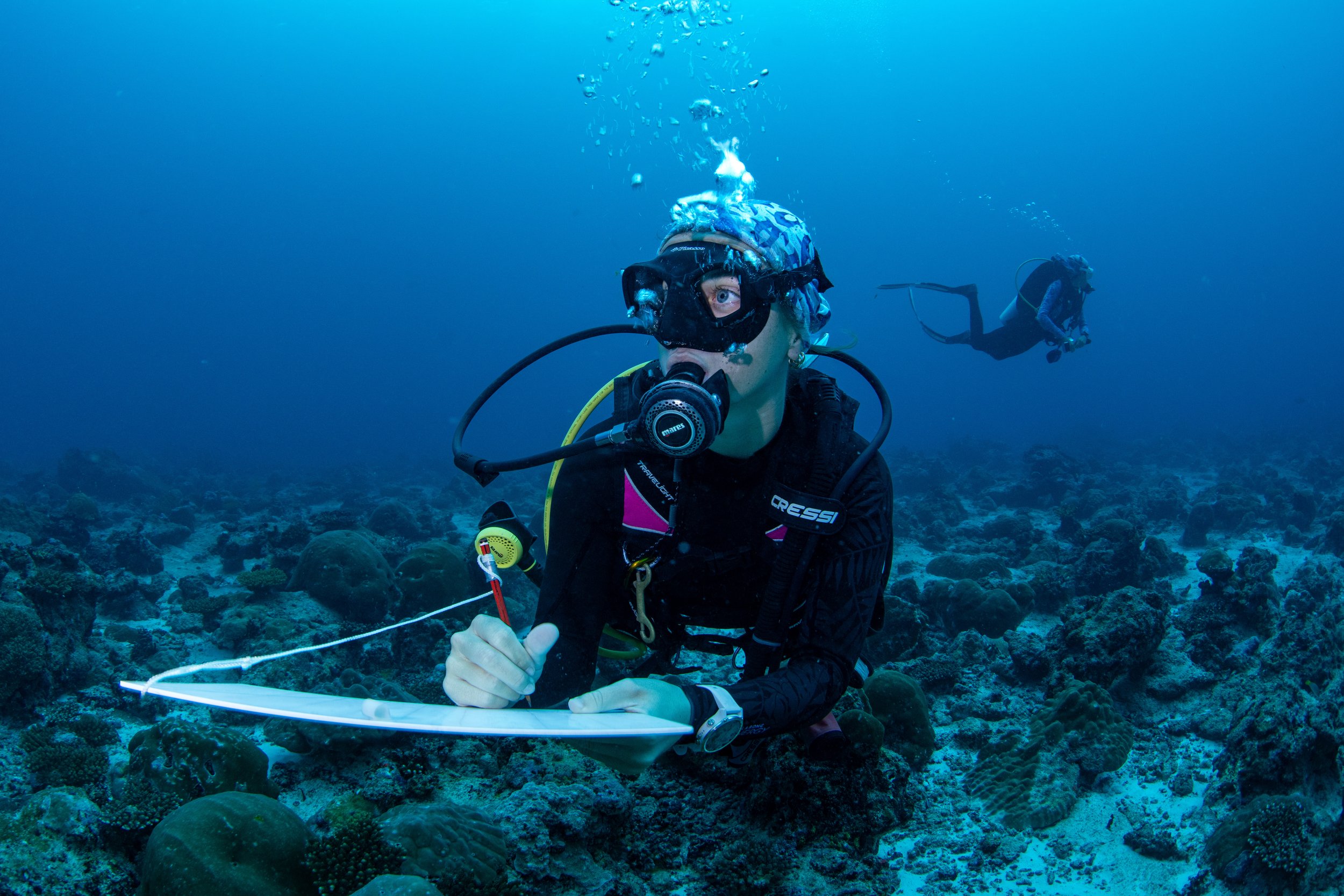 Grouper survey 2.jpg