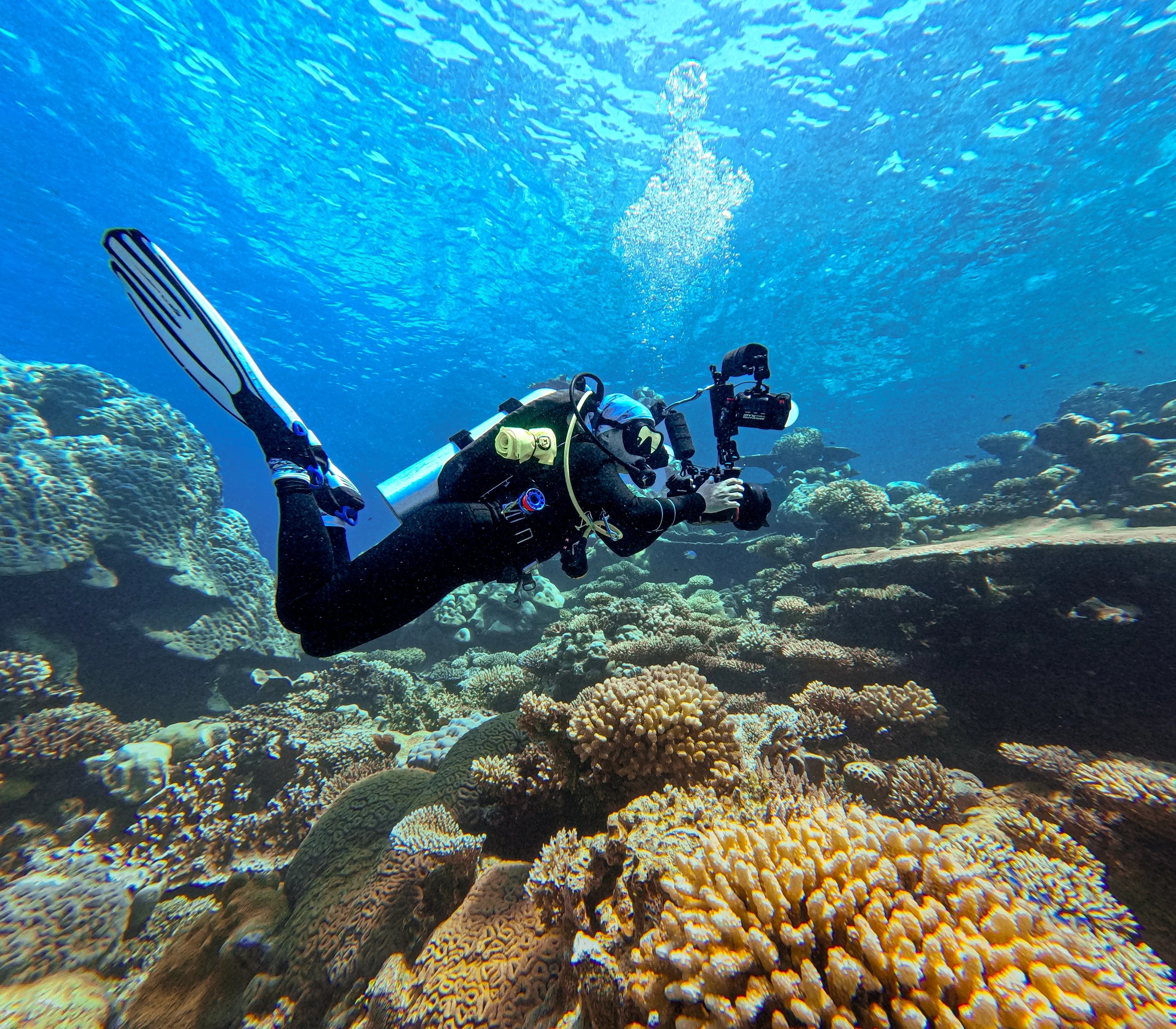 A DAY IN THE LIFE OF A MARINE BIOLOGIST - JEMMA - UNDERWATER PHOTOGRAPHER &amp; MUI INTERN