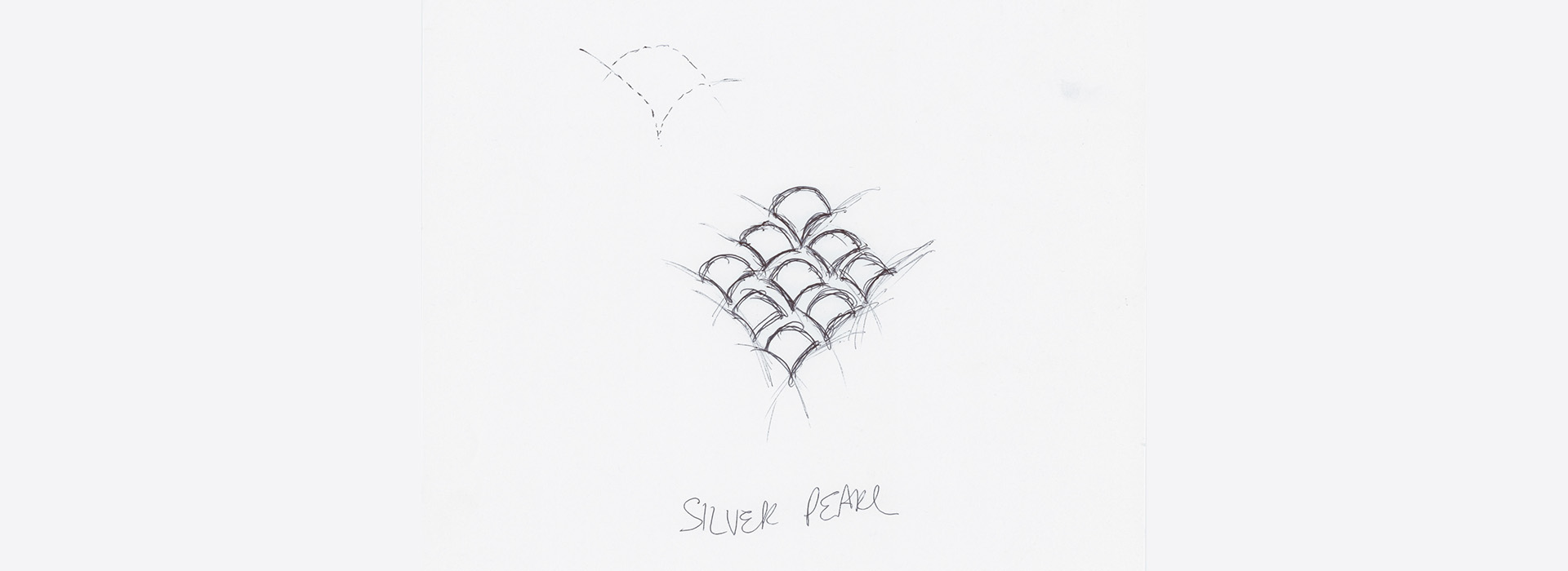 SP Scale drawn.jpg
