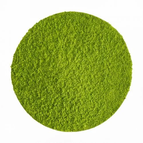 89108_matcha_1.jpg