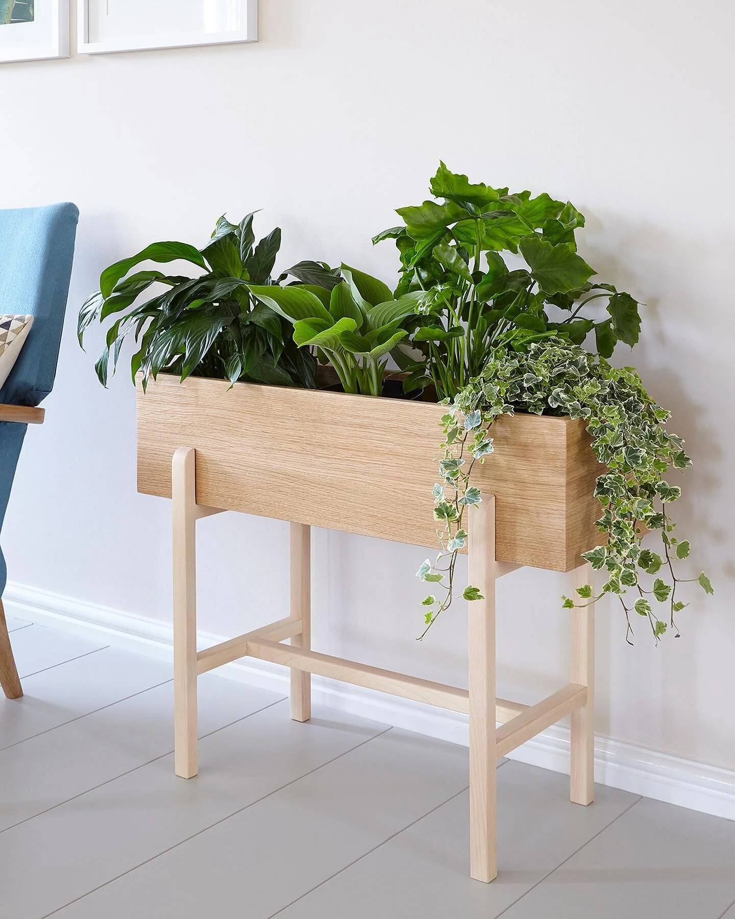 The Pippa Planter. The newest addition to the House of Hobson collection. A solid oak trough sits within either a maple or walnut frame. Perfect for displaying your indoor plants in an elegant &amp; easily moveable piece of furniture. #houseplantsofi