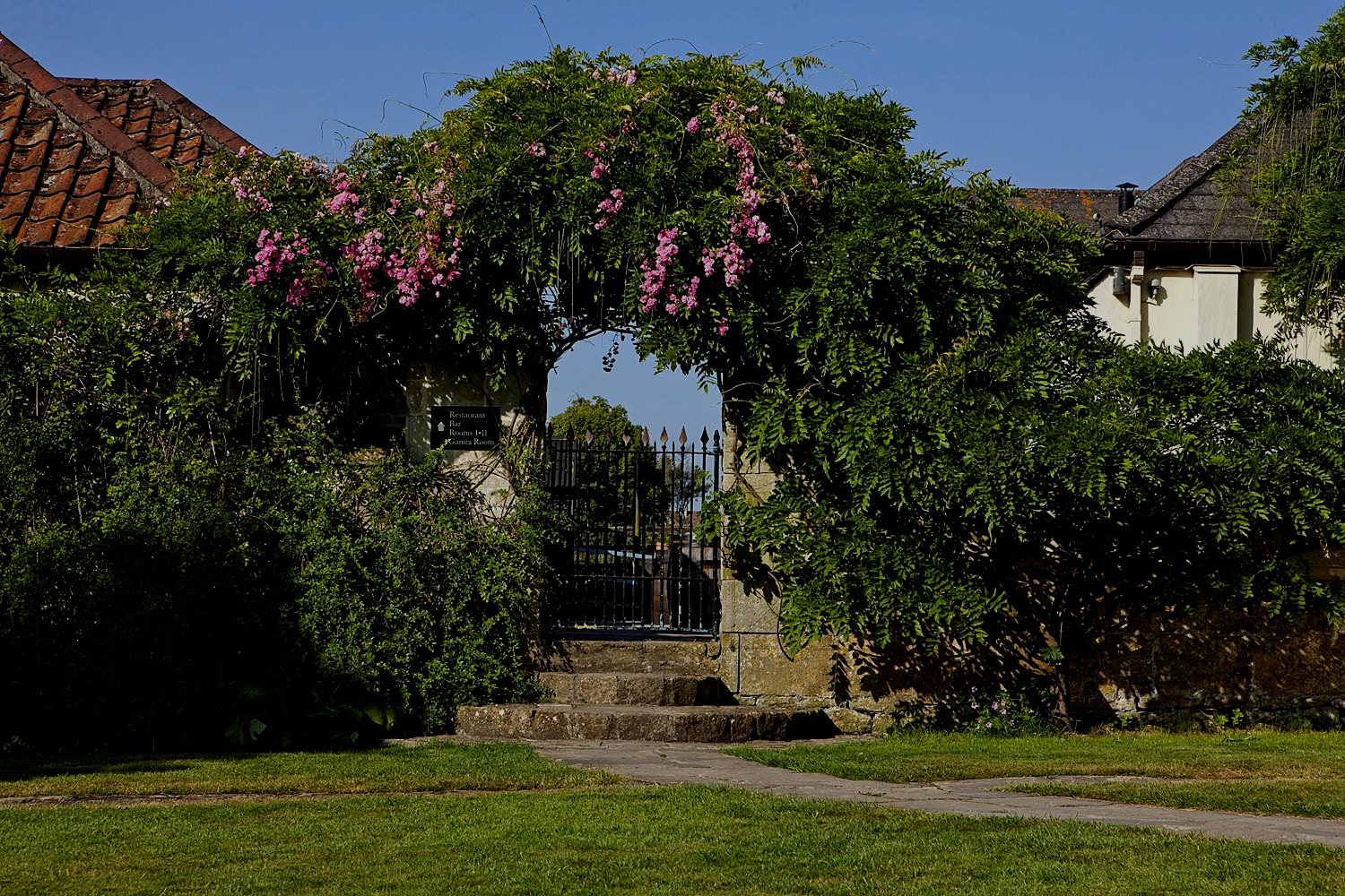 rose-archway.jpg