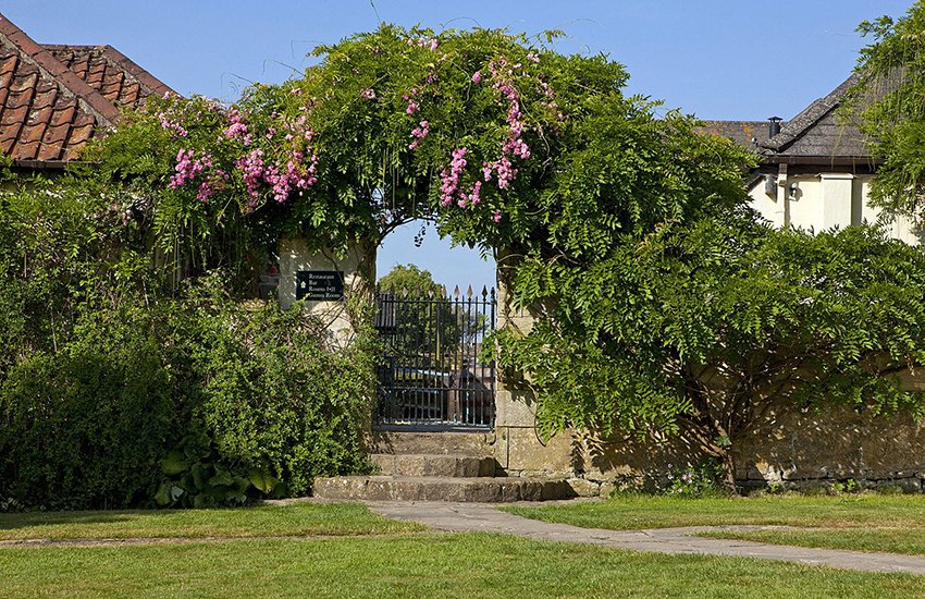 rose-archway.jpg