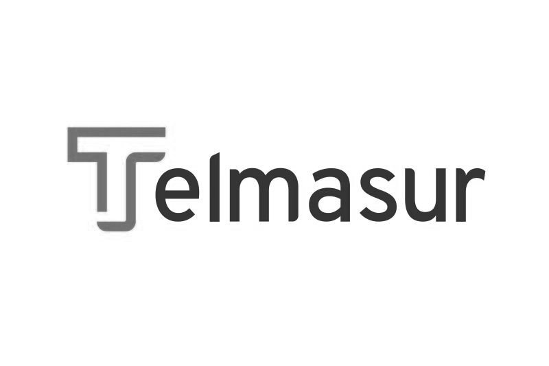 telma+logo.jpg