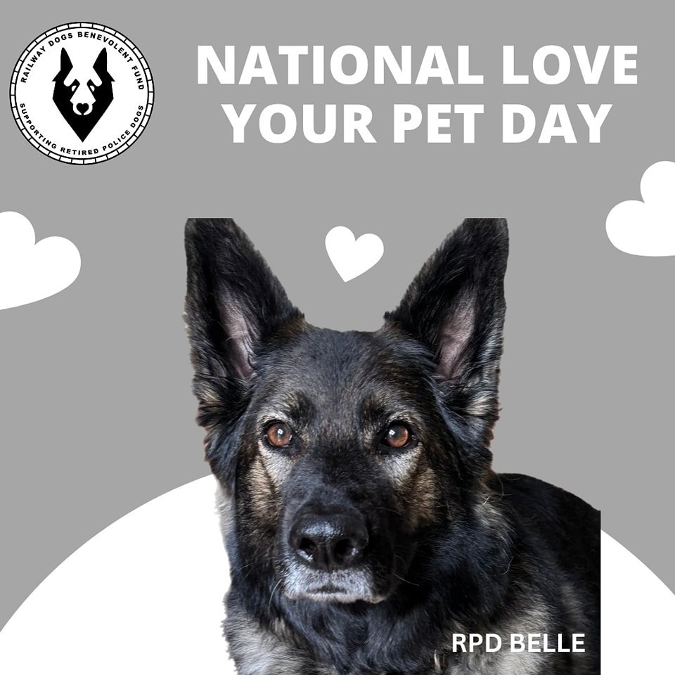 RPD Belle #nationalloveyourpetday 🐶