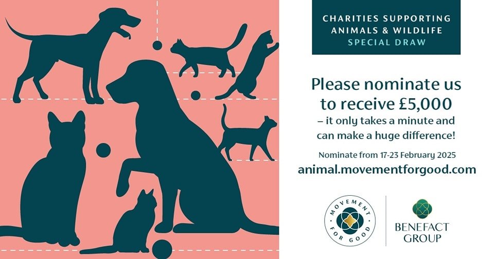 https://animal.movementforgood.com/index.php?cn=1190638&amp;ct=Animals and Wildlife&amp;i=1739795063-94537.jpg&amp;utm_source=holiday+card&amp;utm_medium=social&amp;utm_campaign=M4G2024card&amp;utm_id=M4G2024card

#nominateACharity