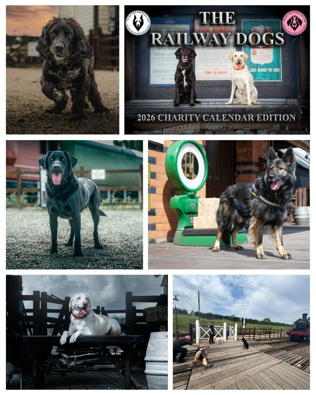 Pre- Order The Rail Dogs Calendar 2026 
This year we are very excited to share with you our 8x12 2026 Calendar in collaboration with an award winning photographer Stewart Campbell (@zerobarknine ).
Rail Dogs Calendar 2026 which is a must-have for d