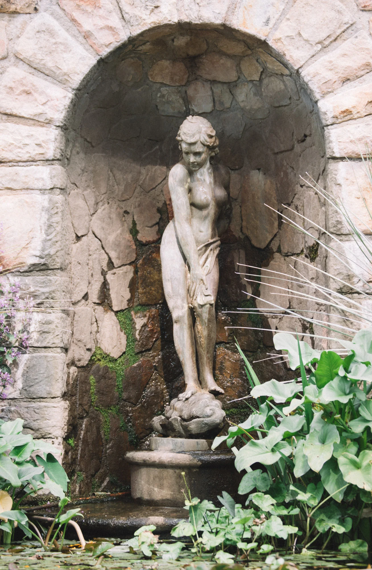 DSC_0170.jpg