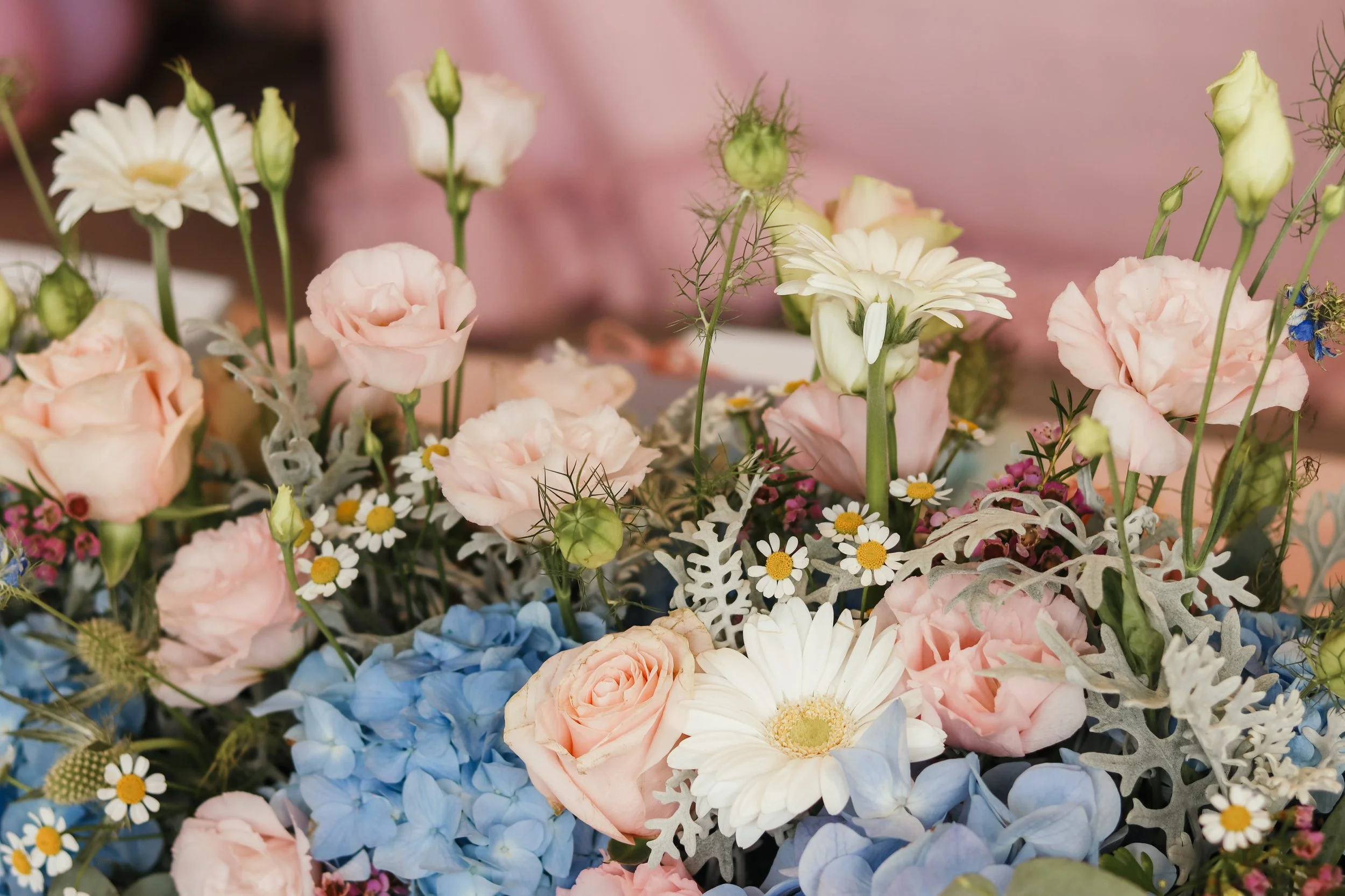 Aurelia Photography-59.jpg