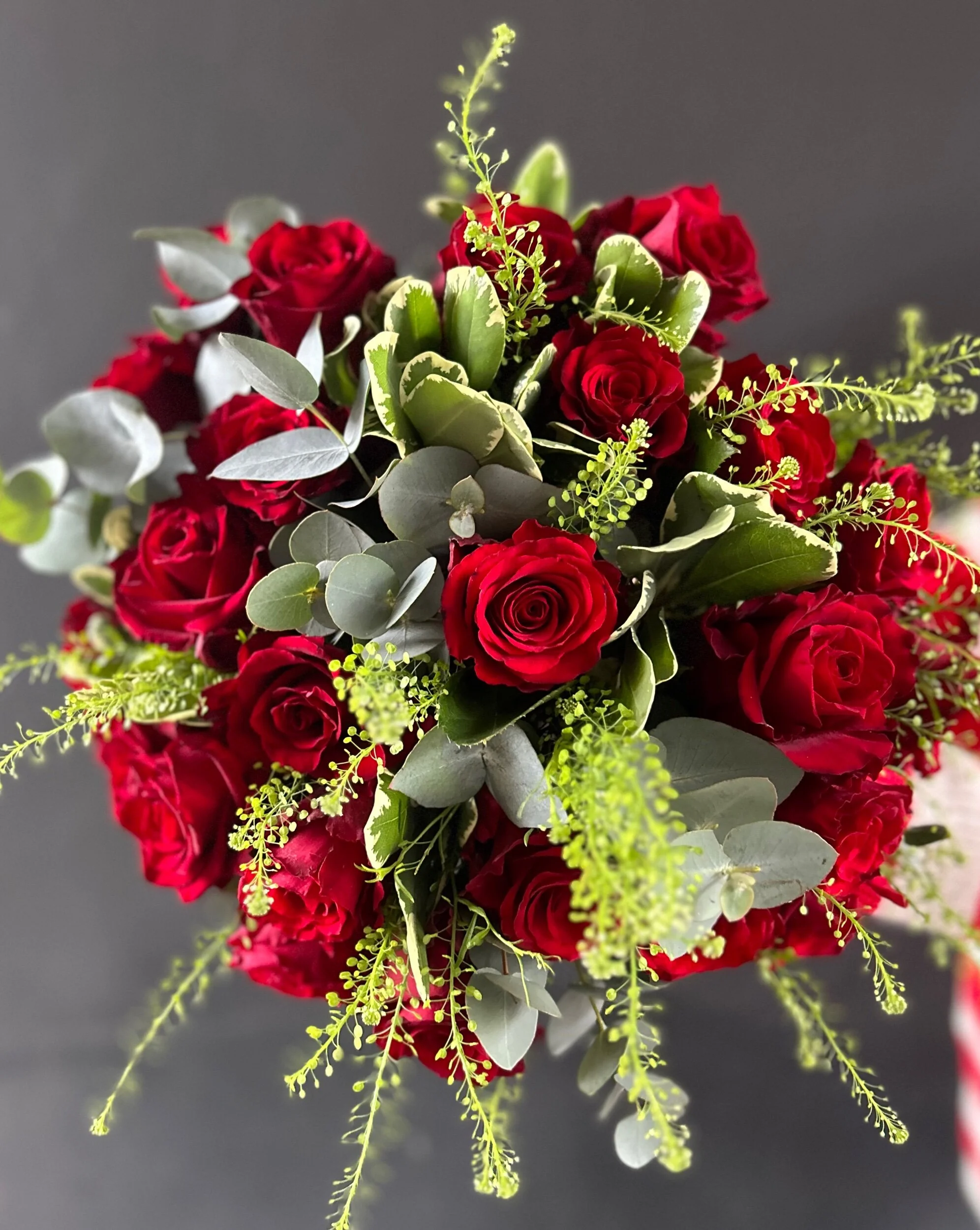 C0C5BB2E-F974-473F-9169-B02497BF6DDA