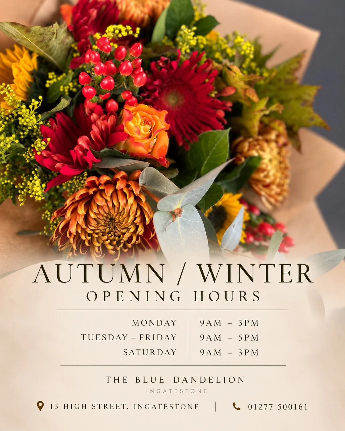 🍂 Our Autumn / Winter opening hours 🍂

As the seasons change, here are our updated opening hours for The Blue Dandelion.

📍 13 High Street, Ingatestone
📞 01277 500161

Can&rsquo;t make it into the shop? You can order online 24/7 at www.thebluedan
