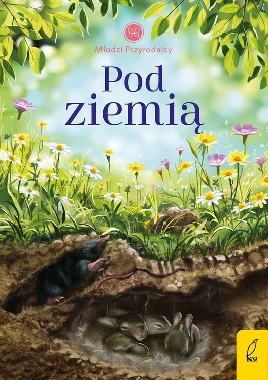 Przechwytywanie.JPG