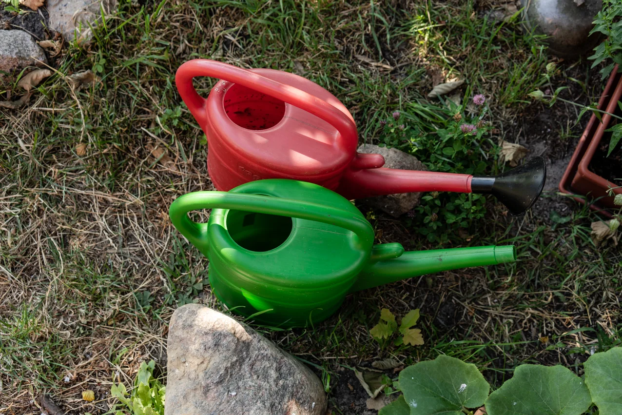 20190710_Linum_JST00258_web.jpg