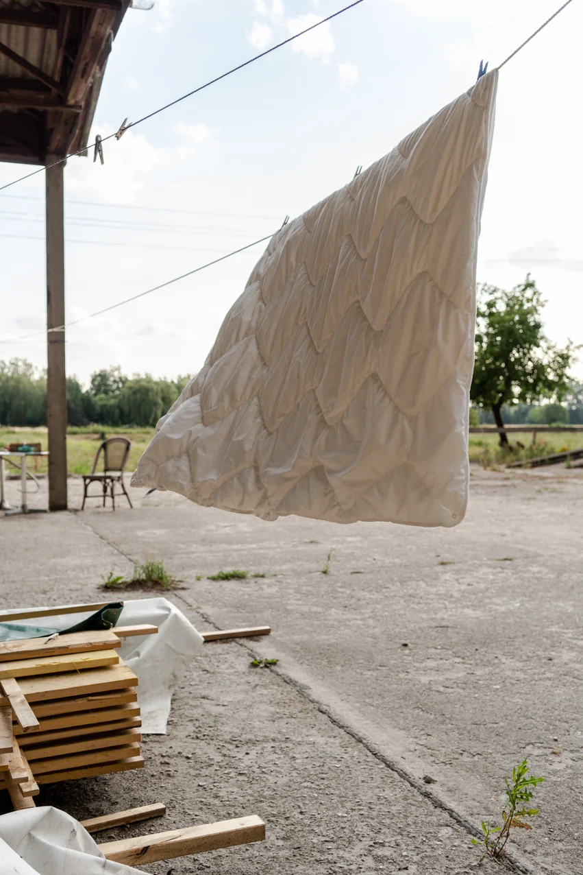 20190710_Linum_JST00597_web.jpg