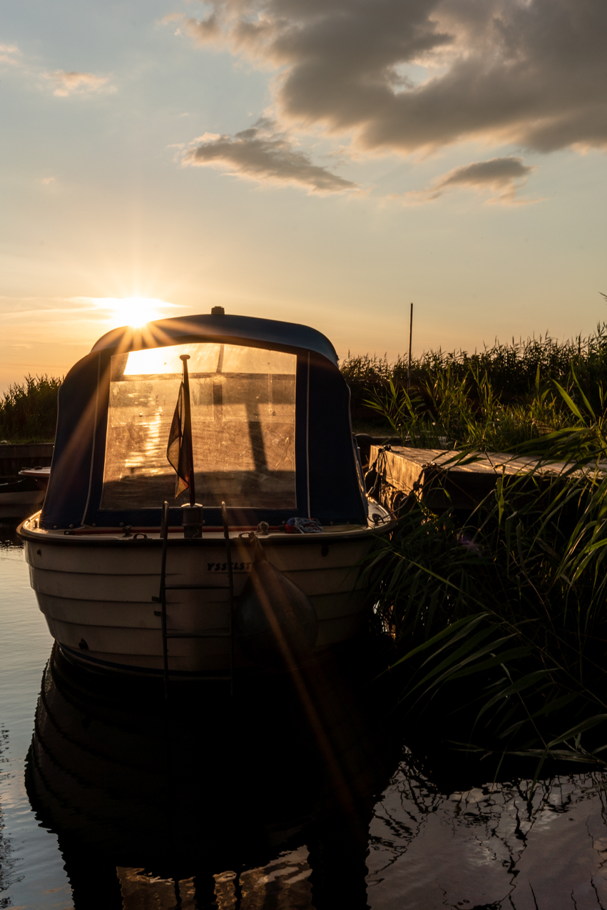 20190710_Linum_JST00906_web.jpg