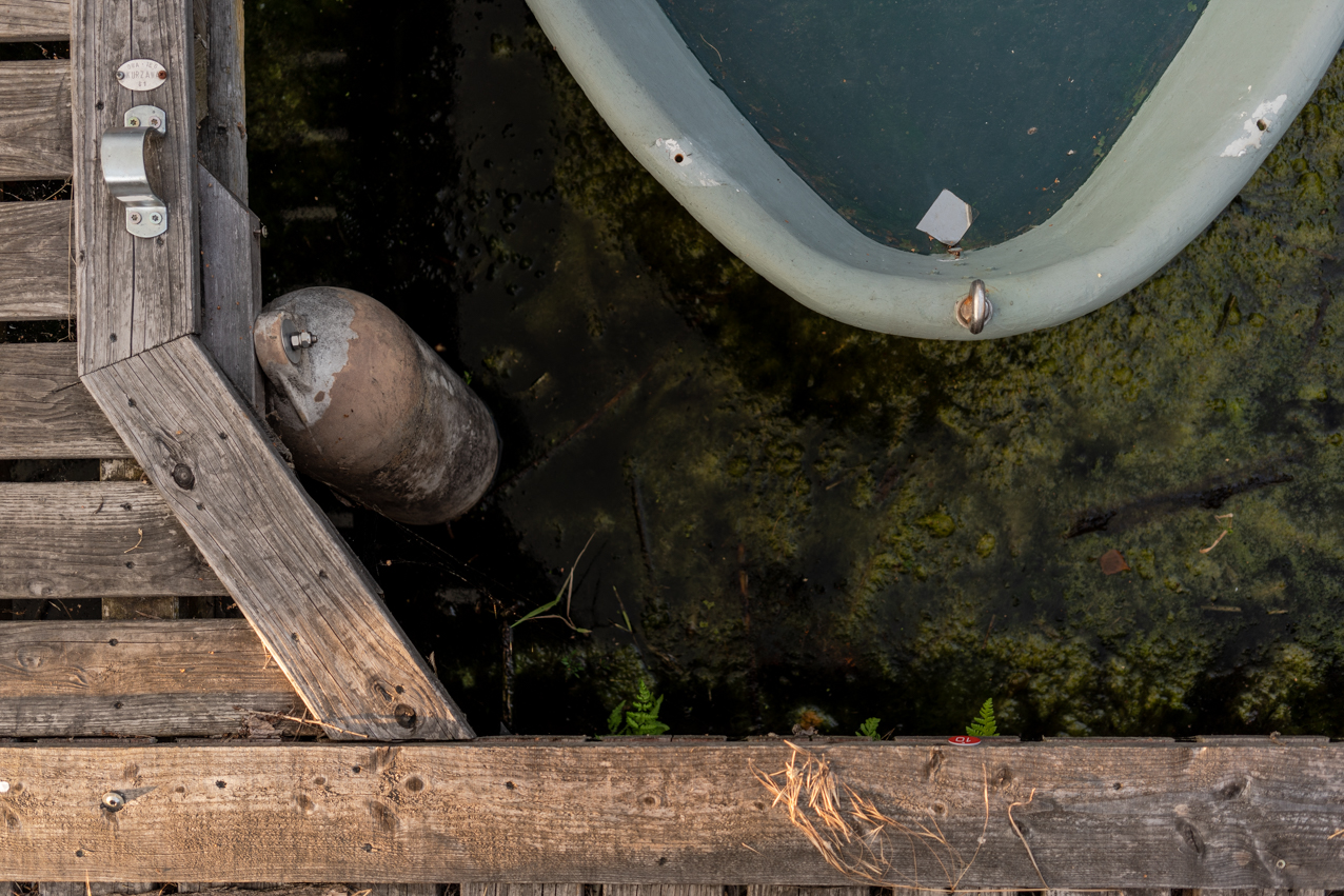 20190710_Linum_JST00891_web.jpg