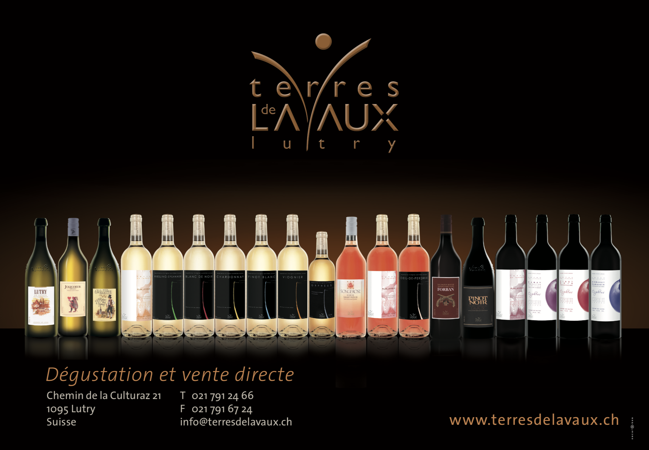 Cave, Terres de Lavaux