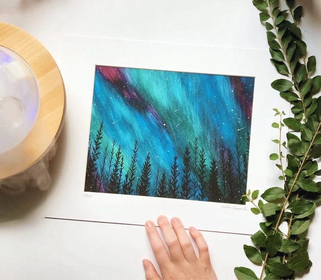 Northern Lights Black Spruce