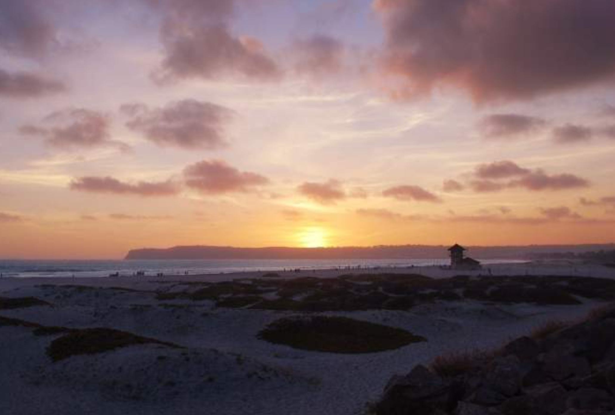 Screenshot 2026-01-20 at 2.17.37 PM.png