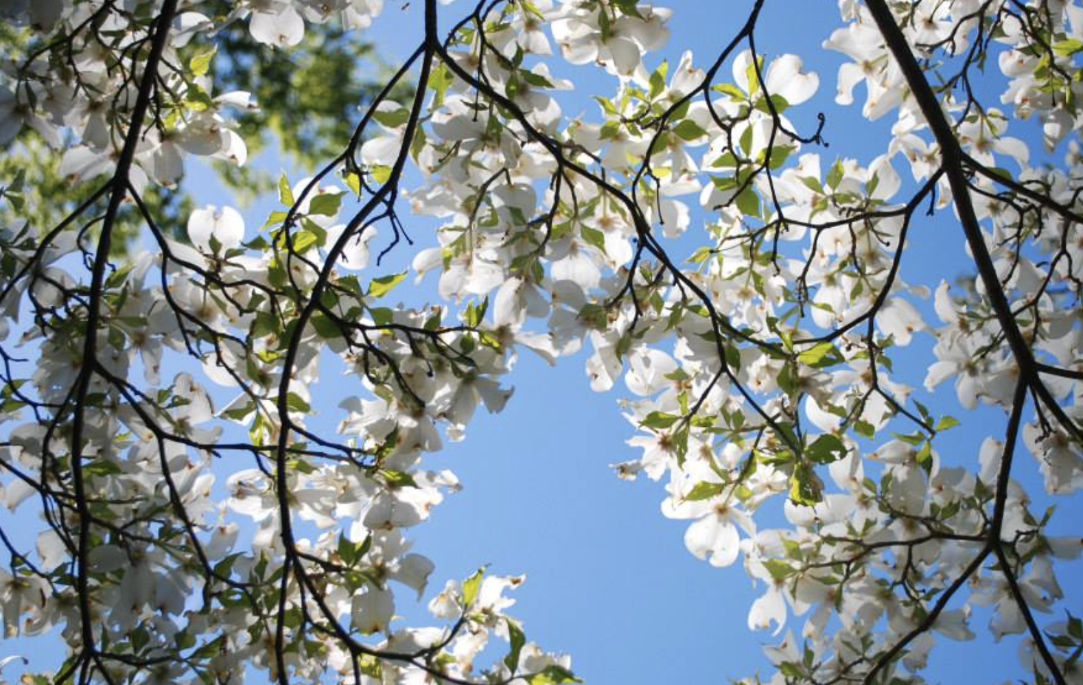 Screenshot 2026-01-24 at 6.44.37 PM.png