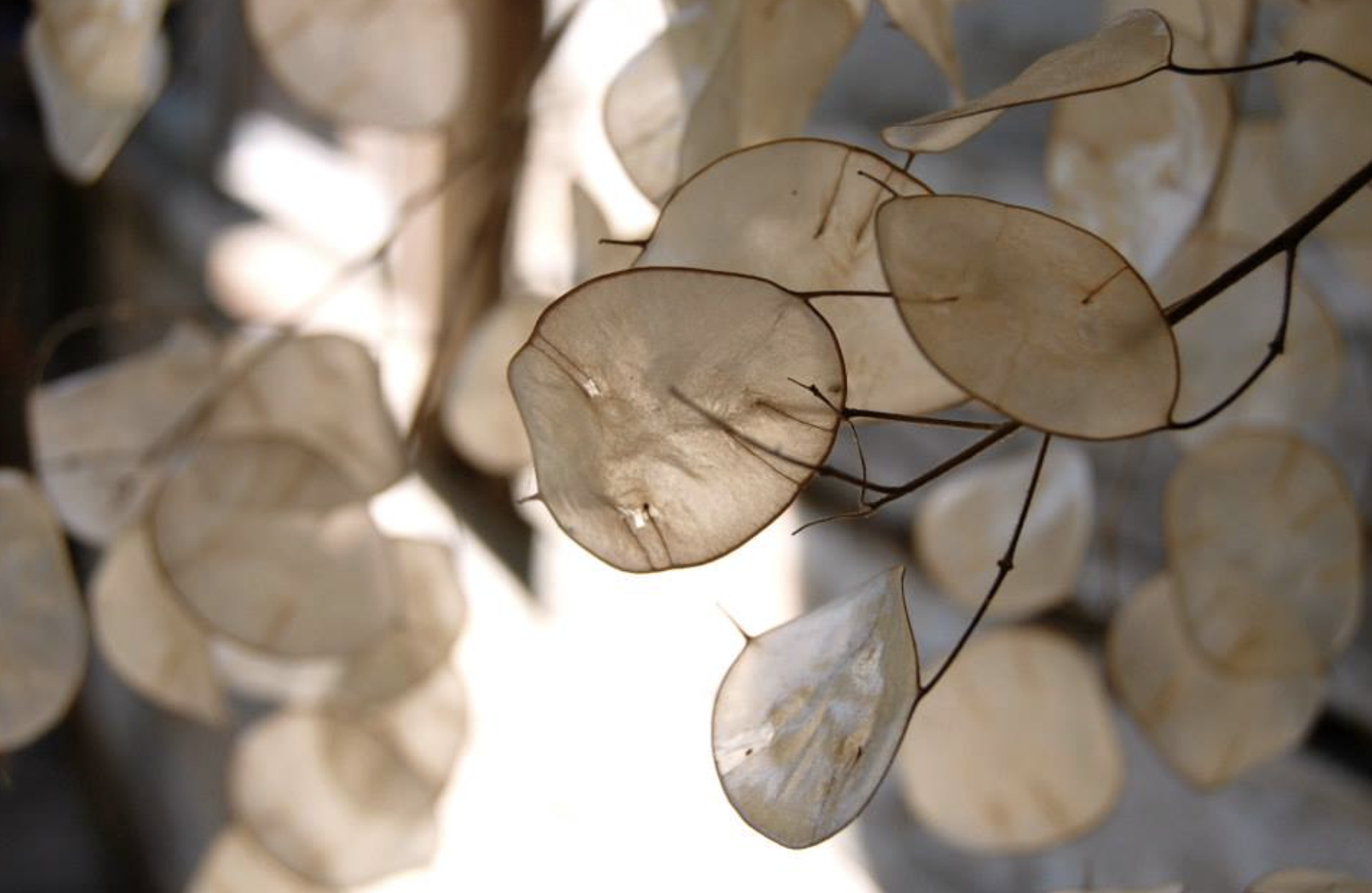 Screenshot 2026-01-24 at 6.43.30 PM.png