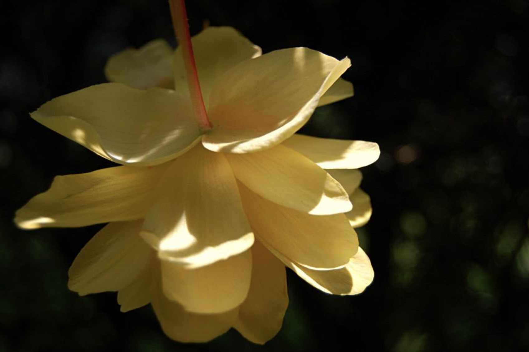 Screenshot 2026-01-24 at 6.42.56 PM.png