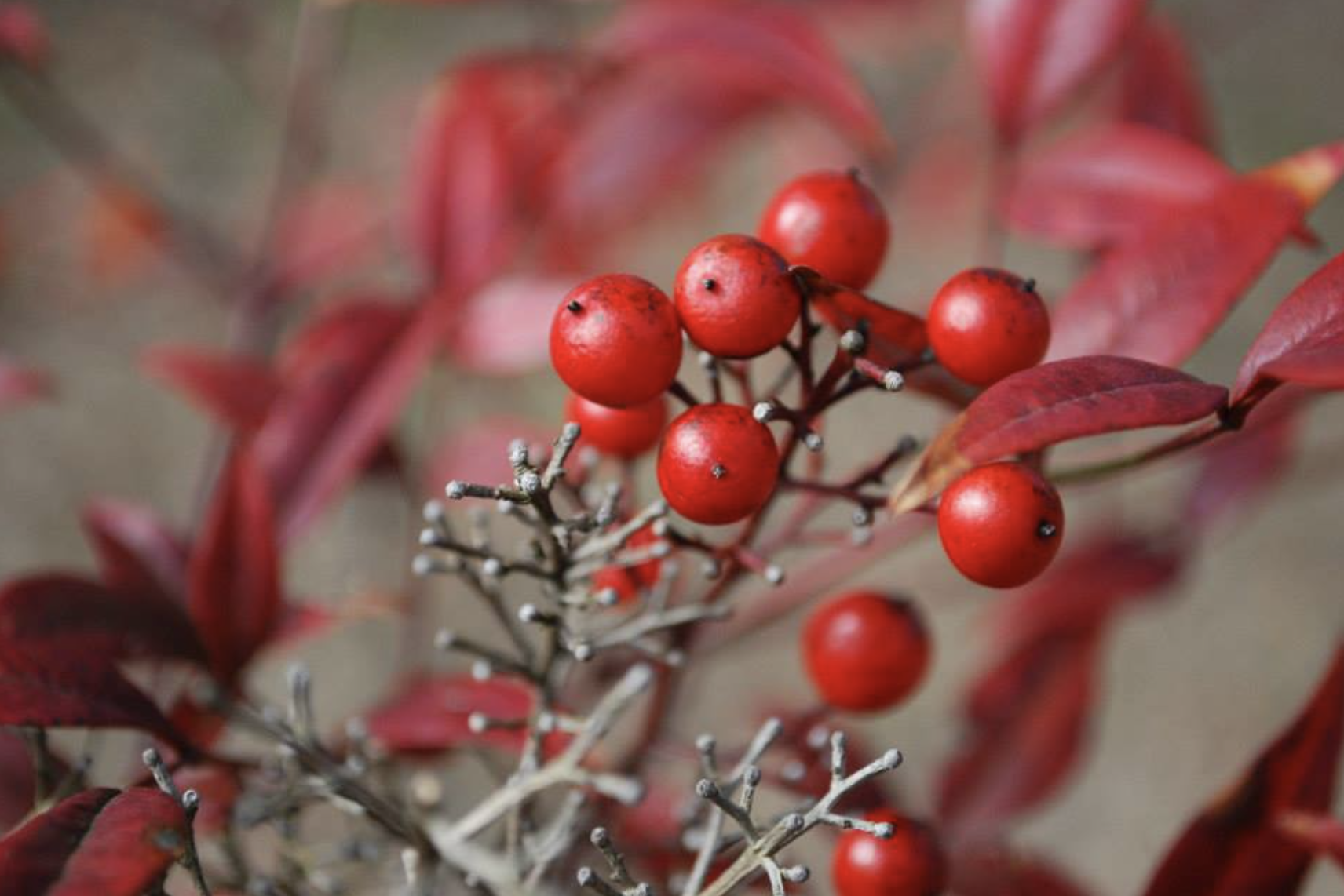 Screenshot 2026-01-24 at 6.42.36 PM.png