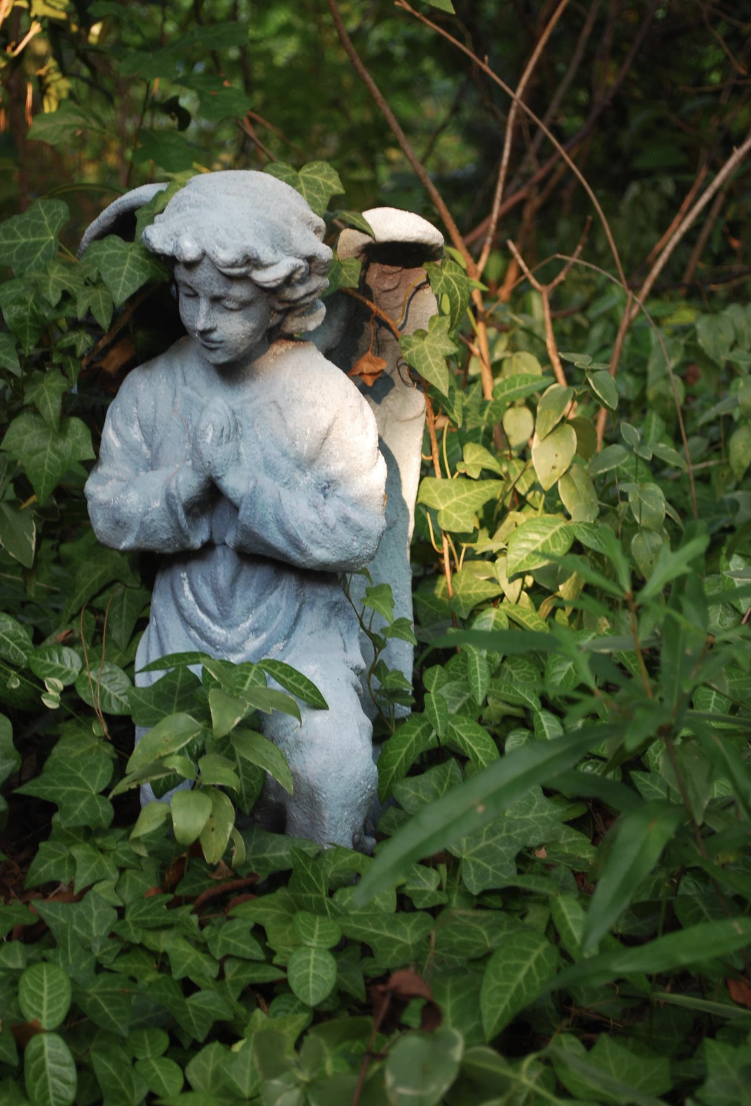 Screenshot 2026-01-24 at 6.39.22 PM.png