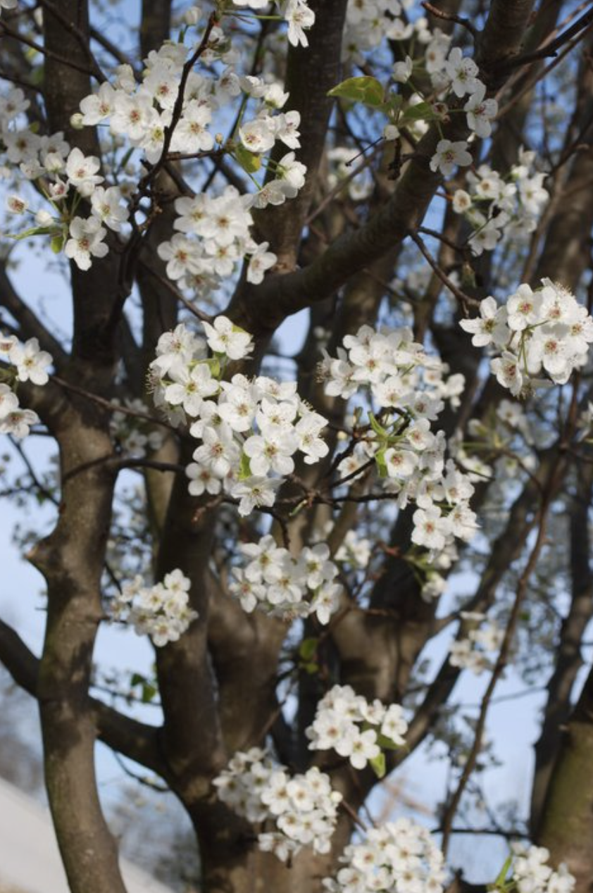 Screenshot 2026-01-24 at 6.35.38 PM.png