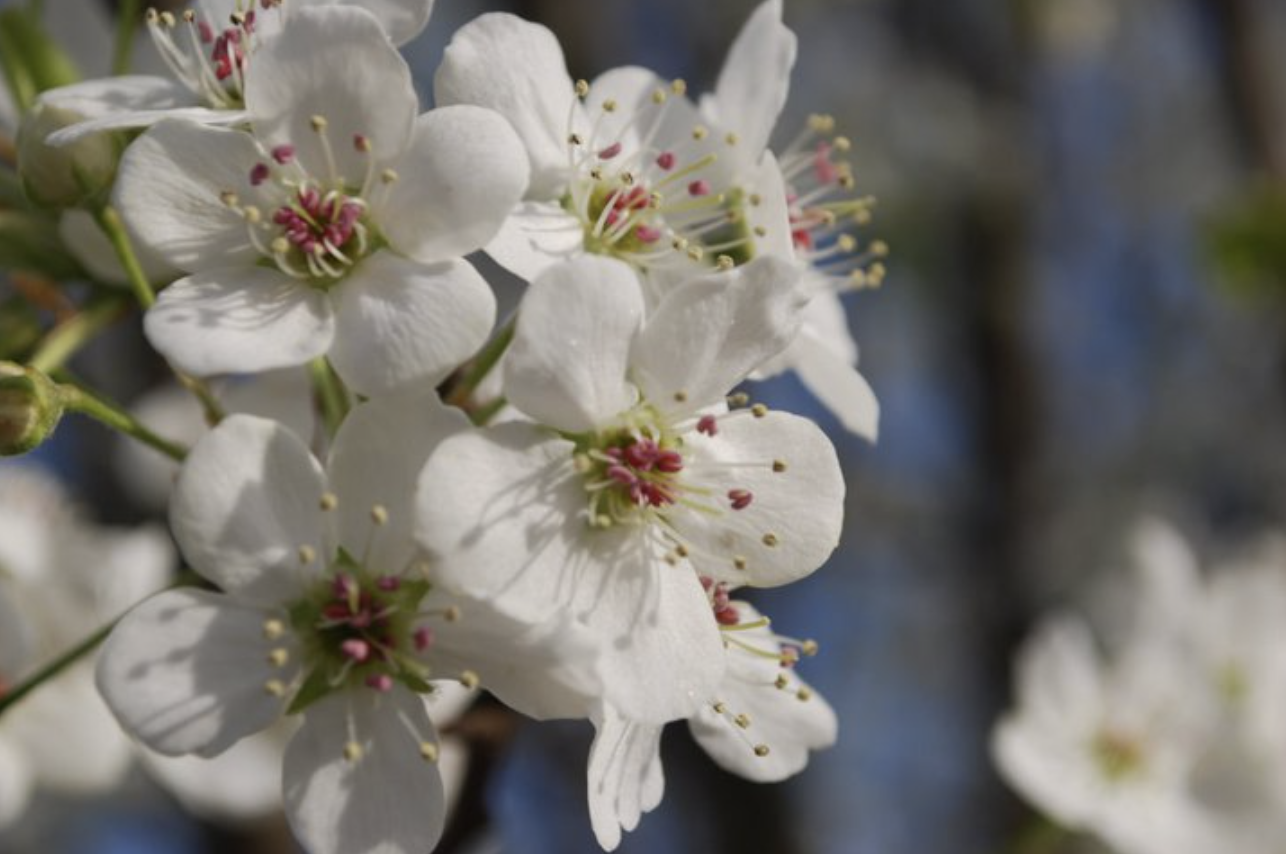 Screenshot 2026-01-24 at 6.35.18 PM.png