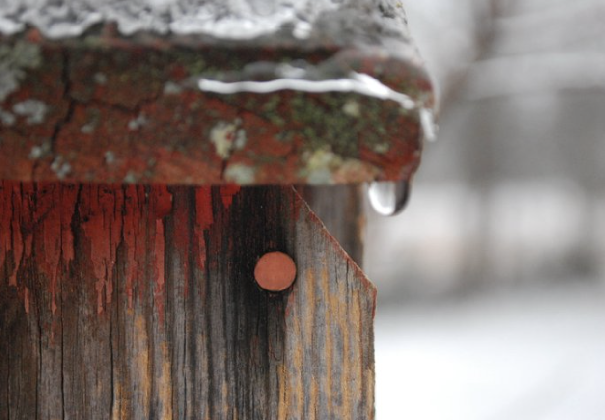 Screenshot 2026-01-24 at 6.34.27 PM.png