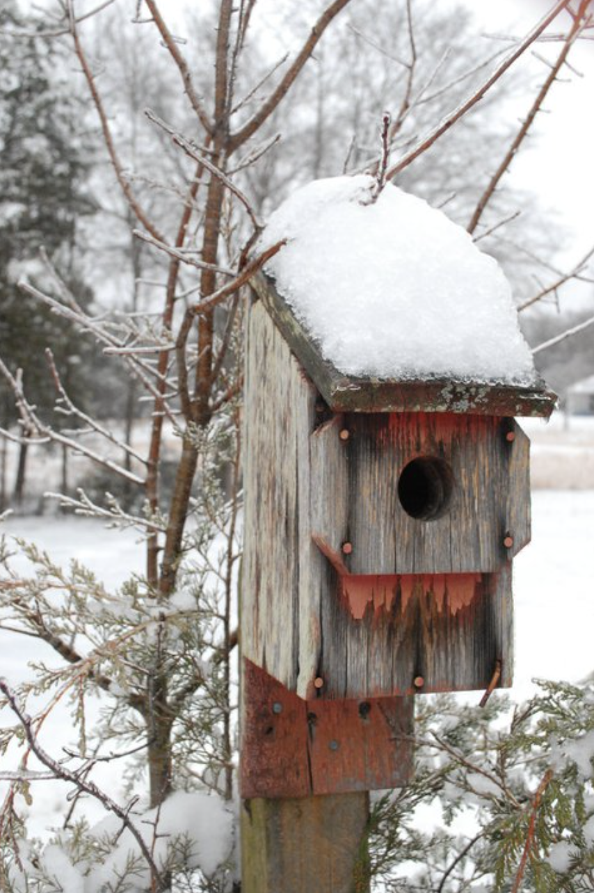 Screenshot 2026-01-24 at 6.34.16 PM.png