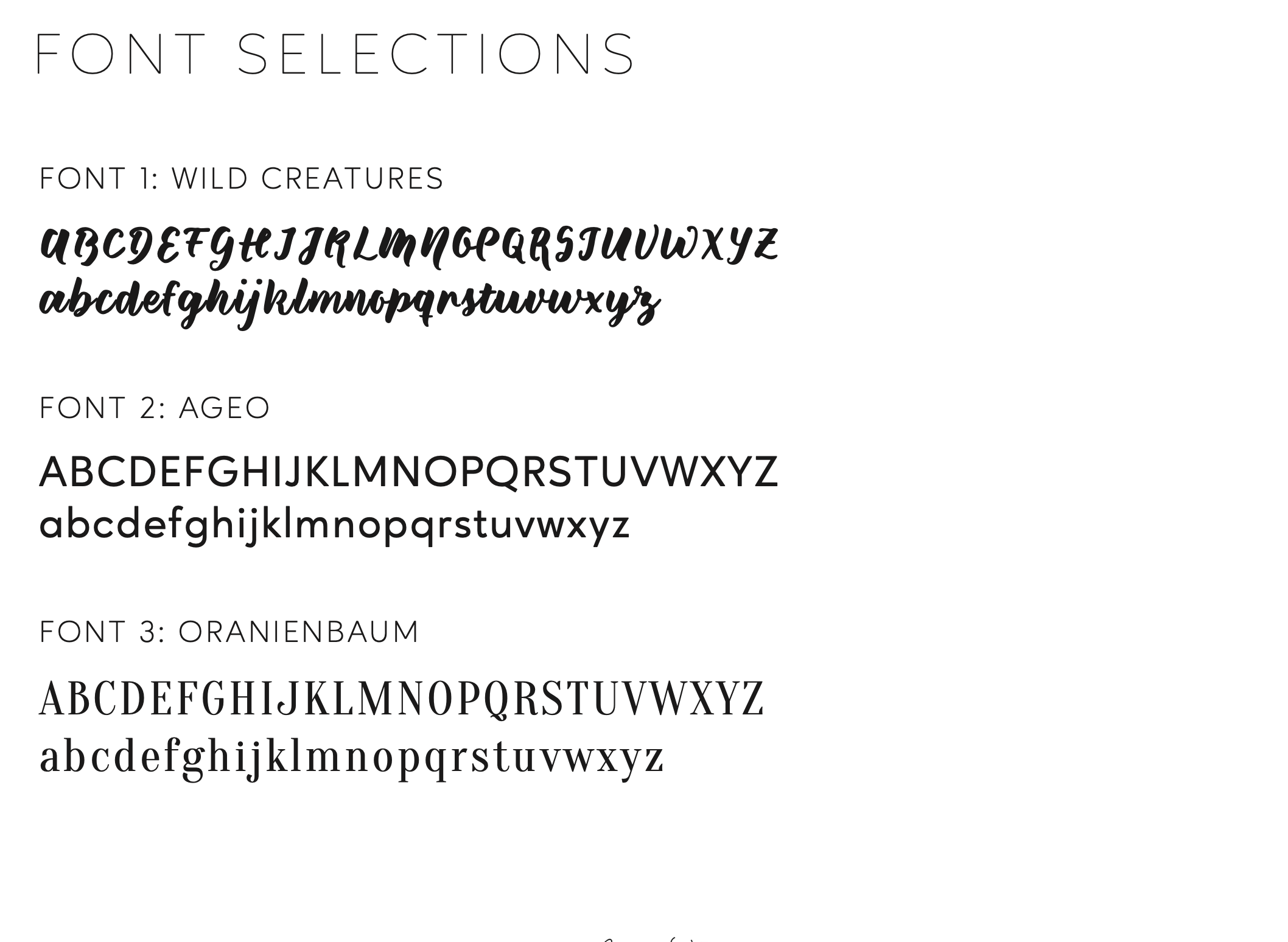 Screenshot 2026-01-24 at 11.37.29 PM.png