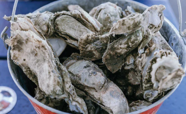 October Oyster Roast, Shuck it in a Bucket